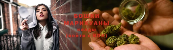 прущие грибы Осташков
