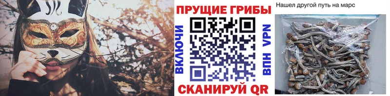 Псилоцибиновые грибы прущие грибы  закладки  Спасск-Дальний 