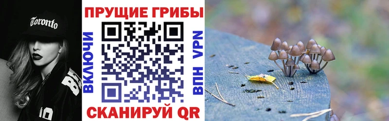 Галлюциногенные грибы GOLDEN TEACHER Спасск-Дальний